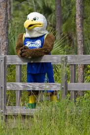 Azul the Eagle