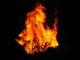 tree on fire