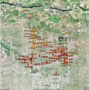 Reported Black Bear Sightings in Lehigh Acres