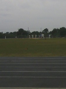 cricket in Lehigh