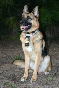 SGT Sapper