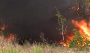 Brush Fire 5282015