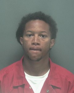 Louis Lee Murph Jr