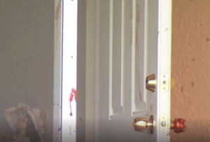 Bloody Door