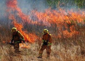 Controlled Burn
