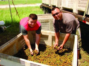Pickers