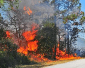 fire 1